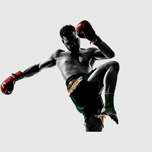 Бокс ва санъати размӣ