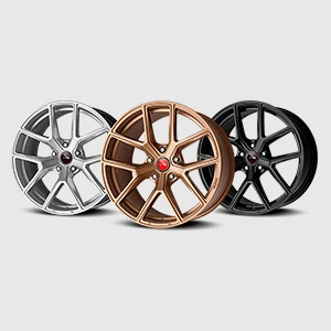 Шинаҳо ва дискҳо