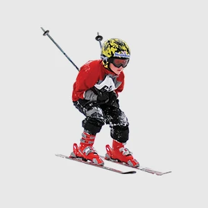 Варзиши зимистона